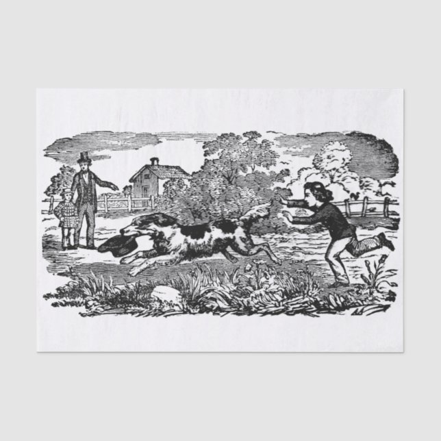 Papel De Seda Ilustração vitoriana de arte de animal de estimaçã (Frente )