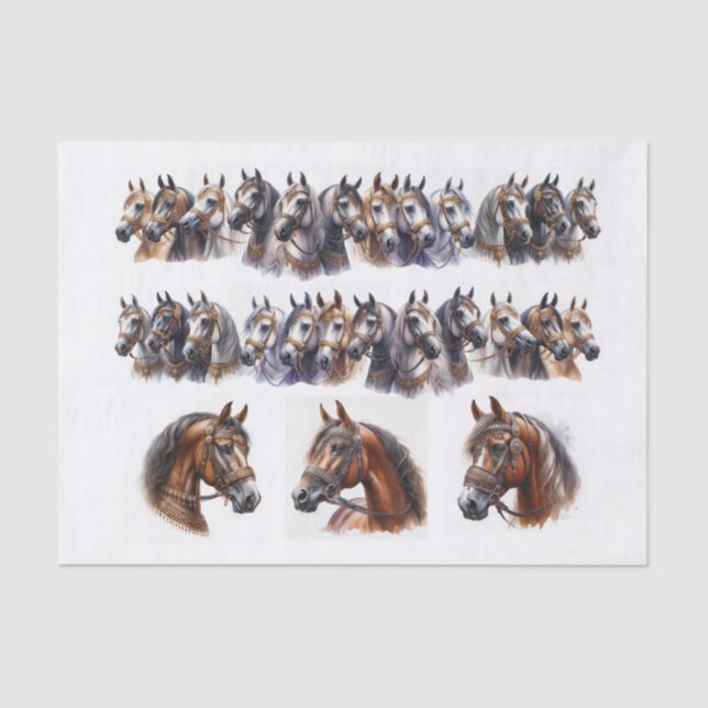 Papel De Seda Ilustrações de Cavalos, incluindo Duas Linhas Long (Frente )