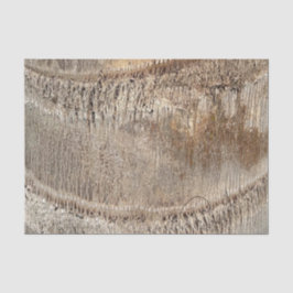 Papel De Seda Imagem de Foto de Fechamento de Textura de Tronco