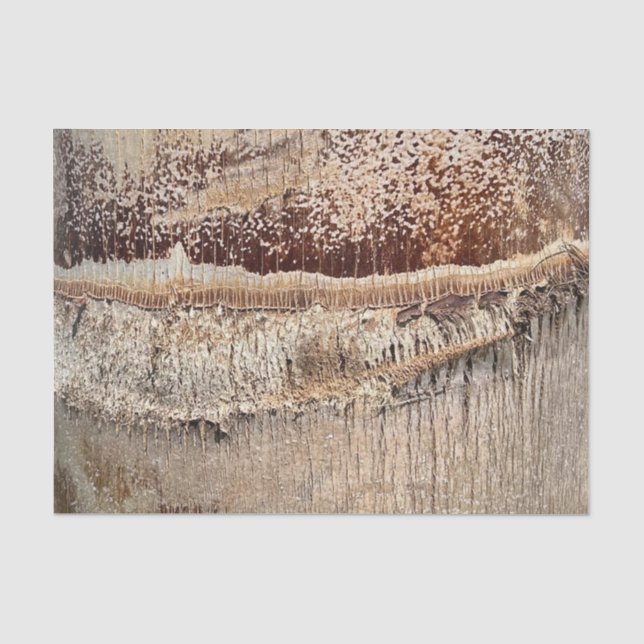 Papel De Seda Imagem de Foto de Fechamento de Textura de Tronco  (Frente )