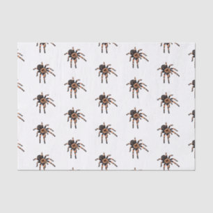 Papel De Seda Imagem do desenho de Tarantula