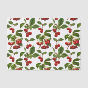 Papel De Seda Impressão de Cerejas Botânicas Vintage em Branco