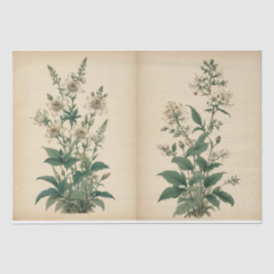 Papel De Seda Impressão de Flores Silvestres Antigas