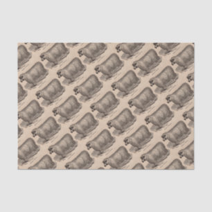 Papel De Seda impressão do século XIX