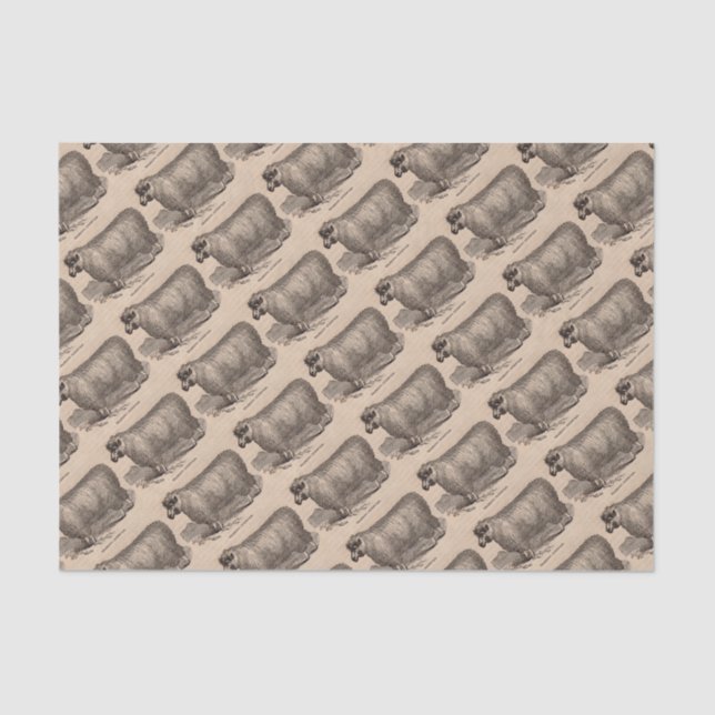 Papel De Seda impressão do século XIX (Frente )