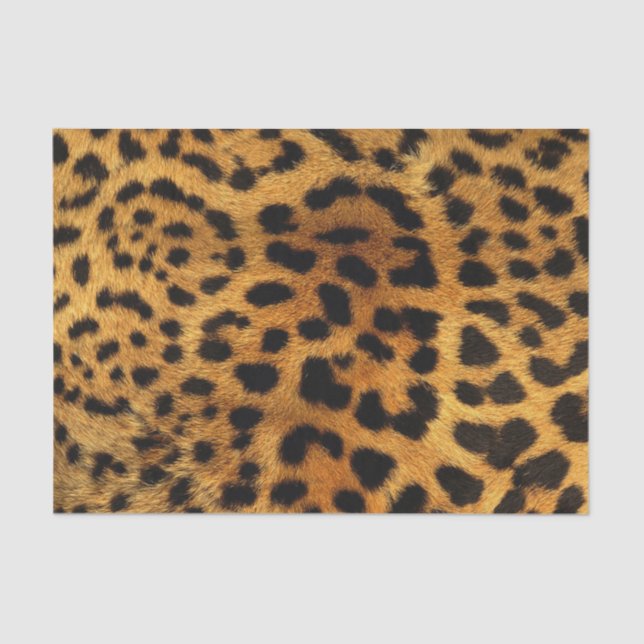 Papel De Seda impressão feminino do leopardo da chita animal (Frente )