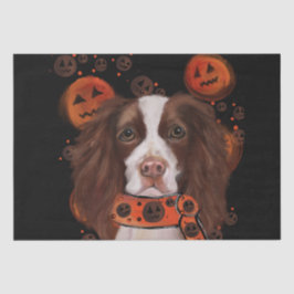 Papel De Seda Inglês Springer Spaniel