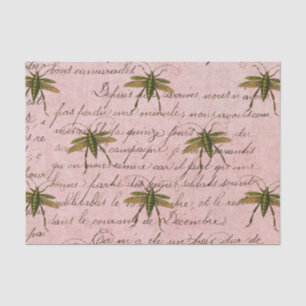 Papel De Seda Inseto Rosa Vintage