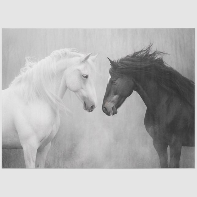 Papel De Seda Interação entre Cavalos Brancos Negros Brancos de  (Frente )