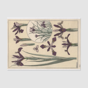 Papel De Seda Iris, Eugene Grasset's Botany Series