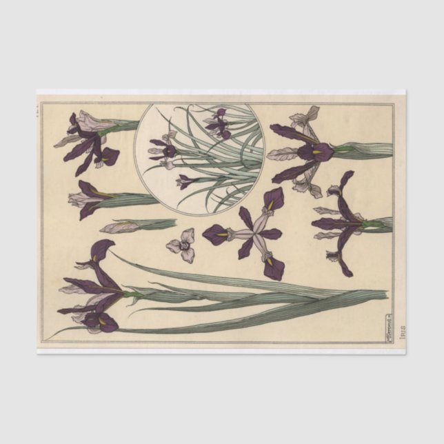 Papel De Seda Iris, Eugene Grasset's Botany Series (Frente )