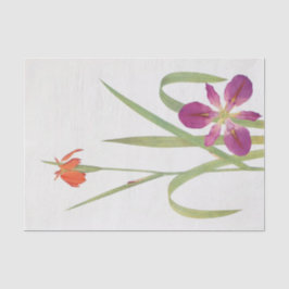 Papel De Seda Iris Fulva e Iris Fulvala por William Dykes