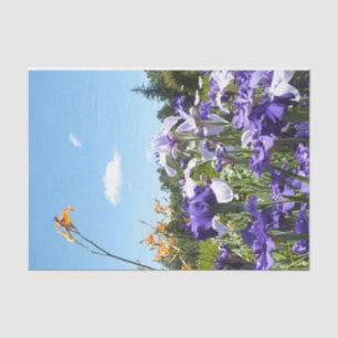 Papel De Seda Irises Daylily e Sky