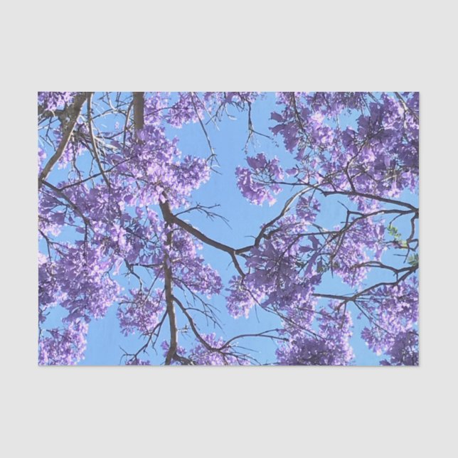 Papel De Seda Jacaranda (Frente )