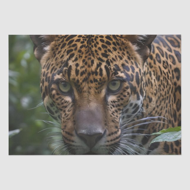 Papel De Seda Jaguar Perto Da Floresta, (Frente )
