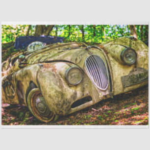 Papel De Seda Jaguar Vintage 20x30 Desligar