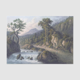 Papel De Seda Jamaica Rio Cobre Rua Thomas Parish