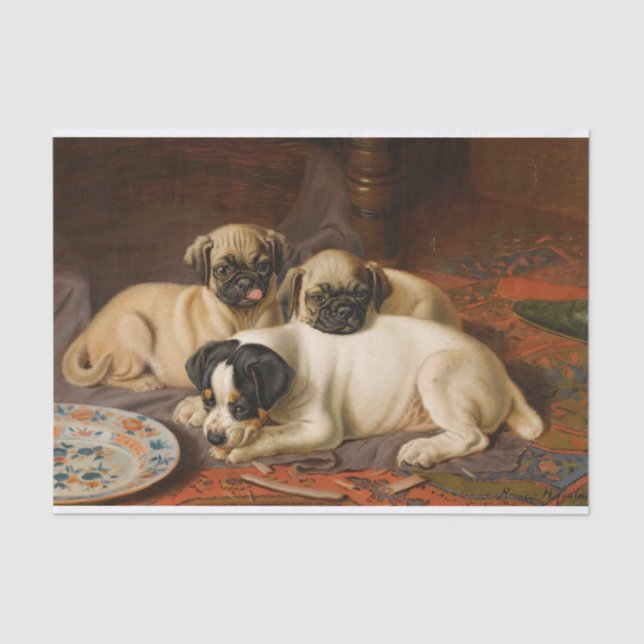 Papel De Seda Janto, Dois Pugs e um Terrier por Horatio Couldery (Frente )