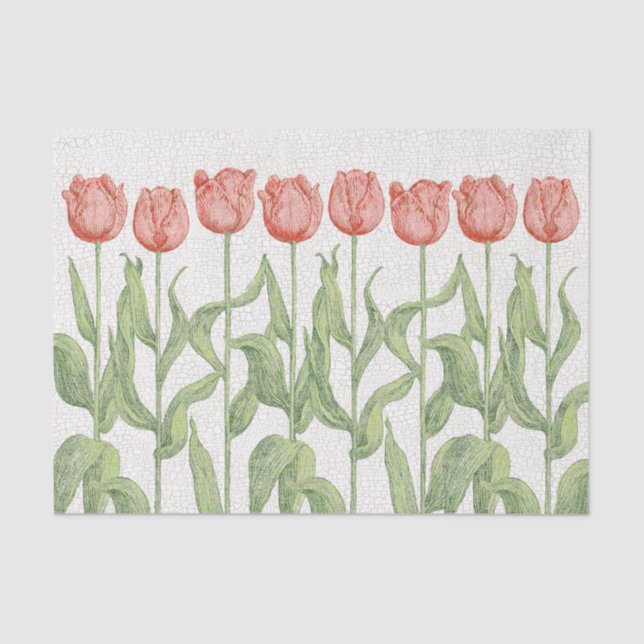 Papel De Seda Jardim da tulipa (Frente )