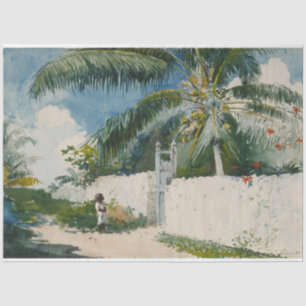 Papel De Seda Jardim de Nassau (capital das Bahamas)