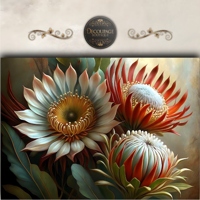 Papel De Seda Jardim Exótico de Protea Decoupage (Exotic Protea Garden Decoupage Tissue Paper)