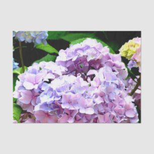 Papel De Seda Jardim Hydrangea, rosa, azul, floral roxo