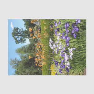 Papel De Seda Jardim Íris Puro