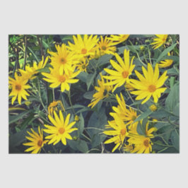 Papel De Seda Jerusalem Artichoke