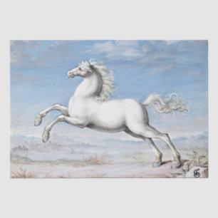 Papel De Seda Joris Hoefnagel Cavalo branco - 1552 e 1601