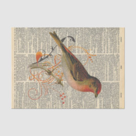 Papel De Seda Jornais Vintage com a Decoupage de Pássaros