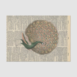 Papel De Seda Jornais Vintage com Desligamento de Faisão