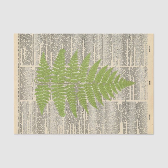 Papel De Seda Jornal Vintage com a dissociação de folha verde (Frente )