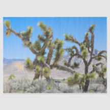 Joshua Tree na Califórnia