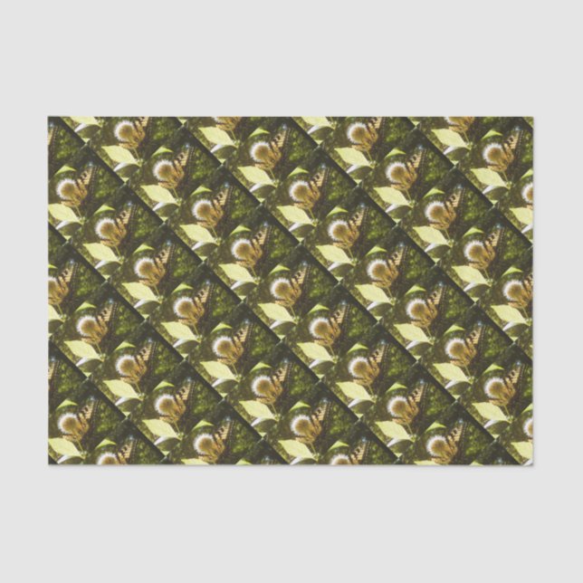 Papel De Seda June Monarch Flower (Frente )