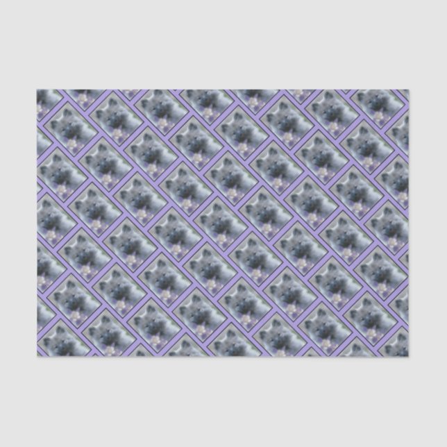 Papel De Seda Keeshond e Columbine - Fotografia de Cães (Frente )