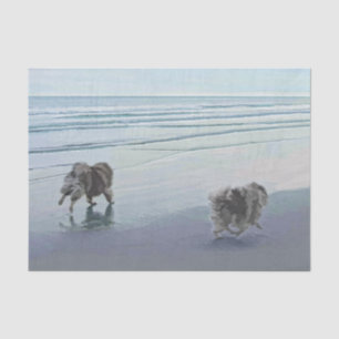 Papel De Seda Keeshonds na Arte de Cão de Pintura em Seashore