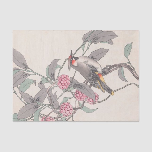 Papel De Seda Keinen Kachō Gafu, Pl.21, por Imao Keinen (Frente )