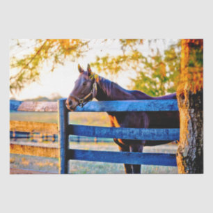 Papel De Seda Kentucky Quintessencial - Cavalo no Tecido de Camp