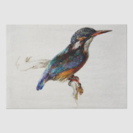Papel De Seda Kingfisher (por John Ruskin)