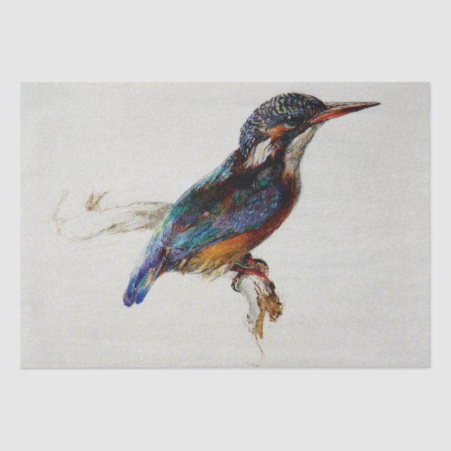 Papel De Seda Kingfisher (por John Ruskin) (Frente )
