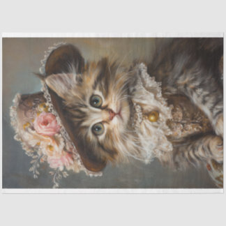 Papel De Seda Kitten na página de dissociação de vestimenta em V