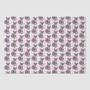 Papel De Seda Koala Bears on Pink Gingham