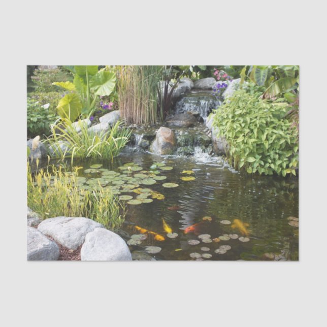 Papel De Seda Koi Pond com Waterfall (Frente )