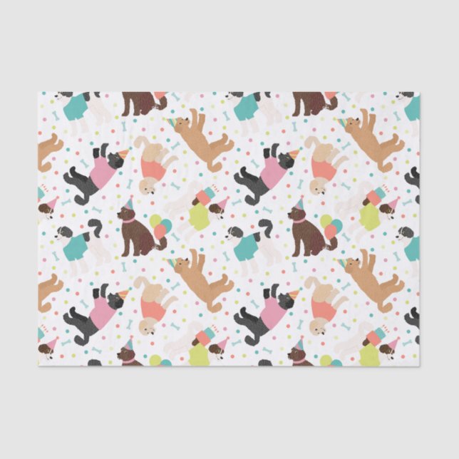 Papel De Seda Labradoodle / Festa de aniversário de Goldendoodle (Frente )