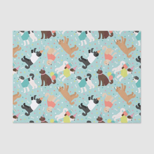 Papel De Seda Labradoodle / Festa de aniversário de Goldendoodle (Frente )