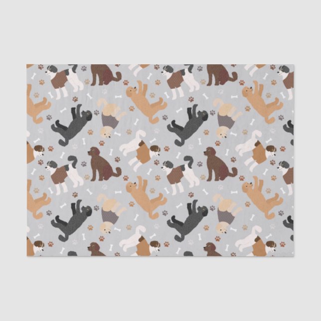 Papel De Seda Labradoodle / Ossos e patas de Goldendoodle (Frente )
