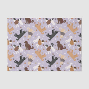 Papel De Seda Labradoodle / Ossos e patas de Goldendoodle