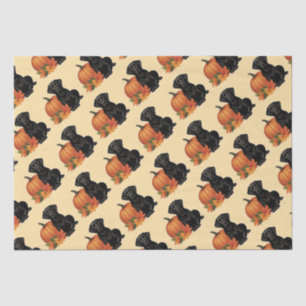 Papel De Seda Labrador Negro com Folhas de outono e Abóbora