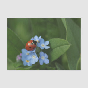 Papel De Seda Ladybug Em Flores