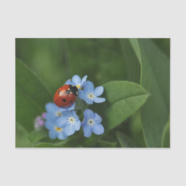 Papel De Seda Ladybug Em Flores (Frente )